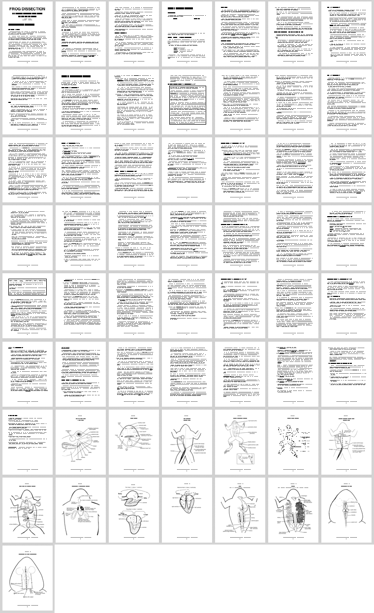 frog dissection guide